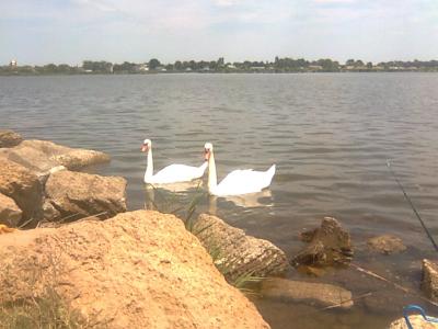 Прикрепленное изображение: Фото0642.jpg